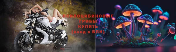 скорость Белокуриха