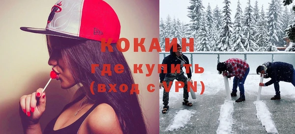 молекула духа Богородицк