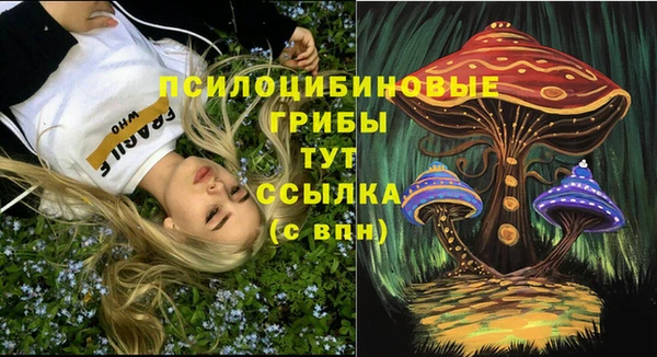 скорость Белокуриха