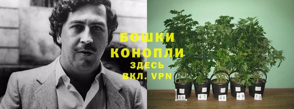 скорость Белокуриха