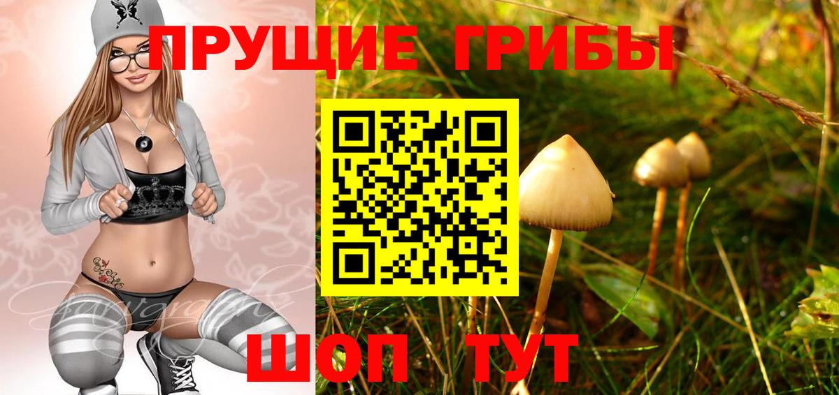 Галлюциногенные грибы мицелий Надым